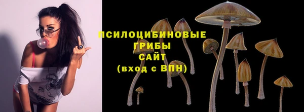 спиды Гусь-Хрустальный