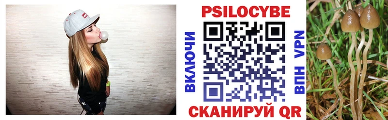 Псилоцибиновые грибы прущие грибы  Новосибирск 